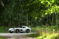 Chantilly Arts & Elégance 2015 - Ferrari 250 GTO gris 3/4 avant gauche