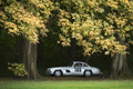 Chantilly Arts & Elégance 2016 - Mercedes 300 SL gris filé