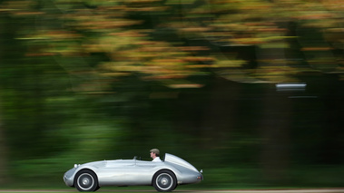 Chantilly Arts & Elégance 2017 - ancienne gris filé