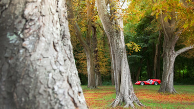 Chantilly Arts & Elégance 2017 - Ferrari 250 GT Breadvan profil