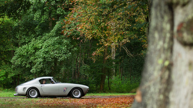 Chantilly Arts & Elégance 2017 - Ferrari 250 GT SWB gris profil