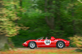 Chantilly Arts & Elégance 2017 - Ferrari 250 P rouge filé