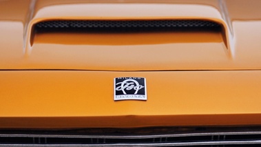 Coupes de Printemps 2012 - Iso Rivolta orange logo capot