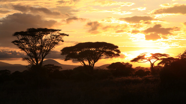 Ambiance coucher de soleil