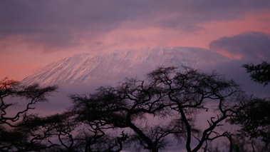 Neiges du Kilimandjaro