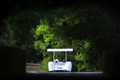 Goodwood Festival of Speed 2017 - ancienne blanc face avant