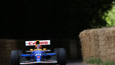 Goodwood Festival of Speed 2017 - ancienne F1 bleu face avant 2