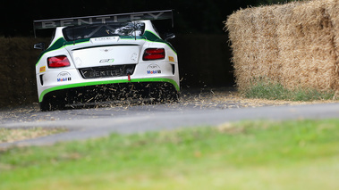 Goodwood Festival of Speed 2017 - Bentley Continental GT3 face arrière