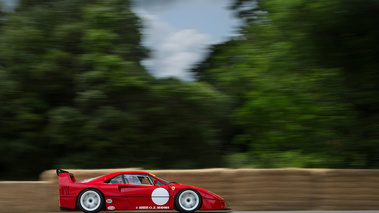 Goodwood Festival of Speed 2017 - Ferrari F40 LM rouge filé