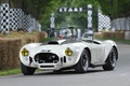 AC Cobra blanche, action 3-4 avg