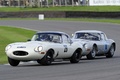 Jaguar E-Type, Lightweight, 3-4 avg