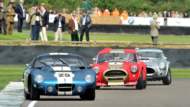 AC Cobra Coupé, action face