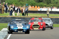 AC Cobra Coupé, action face