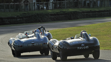 Jaguar D Type, action dos