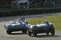 Jaguar D Type, action dos