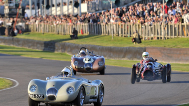 Jaguar D Type, beige, action face