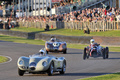 Jaguar D Type, beige, action face