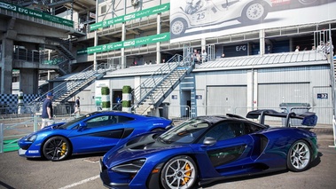 Le Mans Classic 2018 - McLaren Senna bleu profil