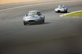 Le Mans Classic 2022 - Jaguar E-Type Lowdrag gris face avant