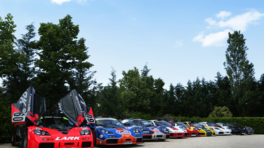 McLaren F1 GTR line-up