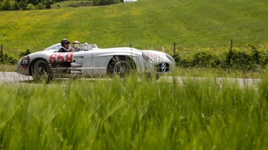 Mercedes 300 SLR, gris, action profil drt