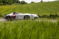 Mercedes 300 SLR, gris, action profil drt