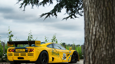 Rallye McLaren F1 2017 - F1 GTR Harrods 3/4 arrière droit