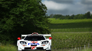 Rallye McLaren F1 2017 - F1 GTR Longtail Fina face avant