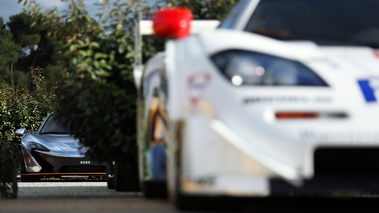 Rallye McLaren F1 2017 - P1 chrome face avant