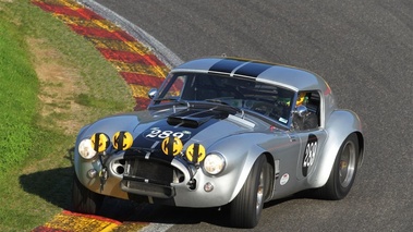 Ac Cobra, Gris, action glisse, 3-4 avg plongée