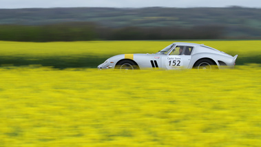 Tour Auto 2012 - Ferrari 250 GTO gris filé