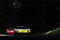 Tour Auto 2013 - Ford GT40 jaune face avant