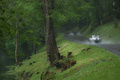 Tour Auto 2013 - Jaguar Type E gris face arrière
