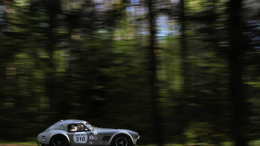 Shelby Cobra gris filé 2