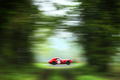 Tour Auto 2015 - Shelby Cobra rouge filé