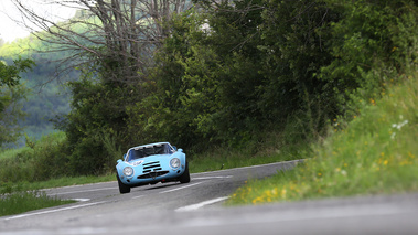 Vernasca Silver Flag 2016 - Alfa Romeo TZ2 bleu face avant penché