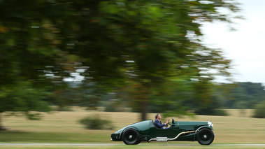 Windsor Castle Concours of Elegance 2016 - ancienne vert filé