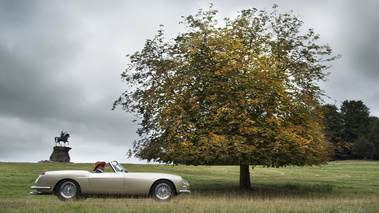 Windsor Castle Concours of Elegance 2016 - Ferrari 250 GT Pininfarina Series I Cabriolet beige profil