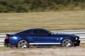 Autodrome Radical Meeting 2012 - Shelby GT500 bleu filé