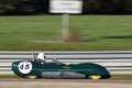 Lotus Eleven vert filé