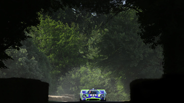 Porsche 917 violet/vert face avant