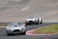 GT Prestige 2013 - Shelby Cobra alu face avant