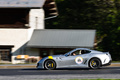 GT Rally 2011 - Ferrari 599 GTO gris filé