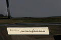 Ferrari 512 BBi noir logo aile arrière