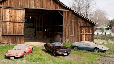 Italian Barn Find