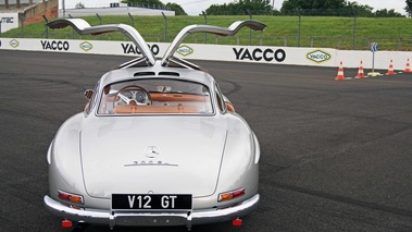 Mercedes 300 SL gris face arrière portes ouvertes