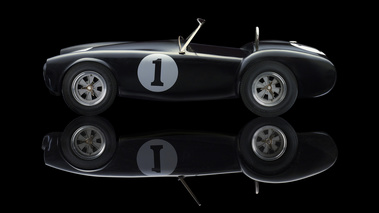 Philippe Guegan - AC Cobra 429 profil