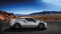 Alfa Romeo 4C blanc mate profil