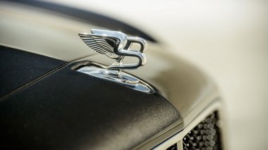 Bentley Mulsanne Speed - Noire - Détail, flying B