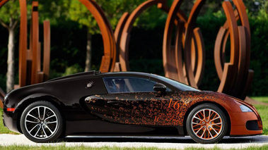 Bugatti Veyron Grand Sport Venet - profil droit